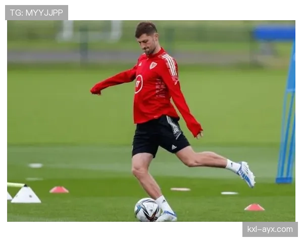 威尔士主帅佩奇：球队正稳步前进，备战下一场比赛